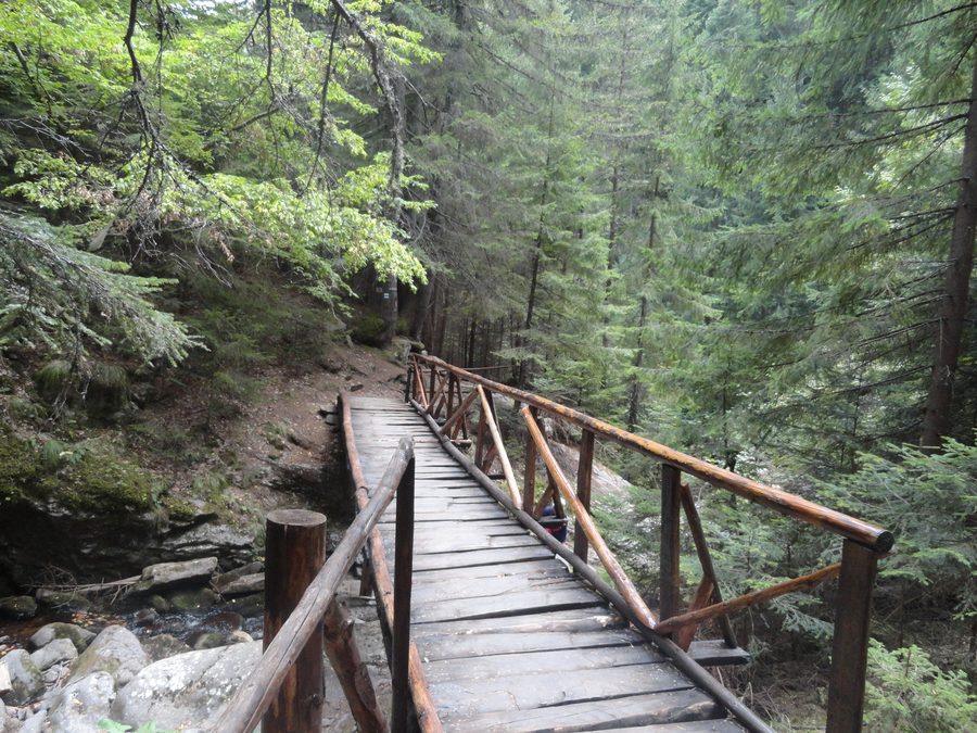 Waterfalls canyon ecopath in the Rhodope Mountain near Smolyan, Bulgaria