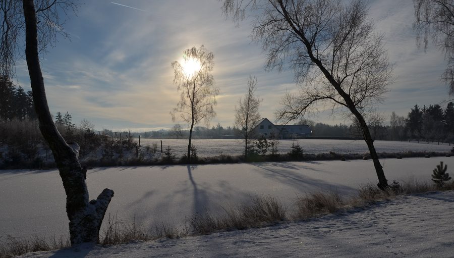 Lake landscape near Silkeborg in Midtjylland