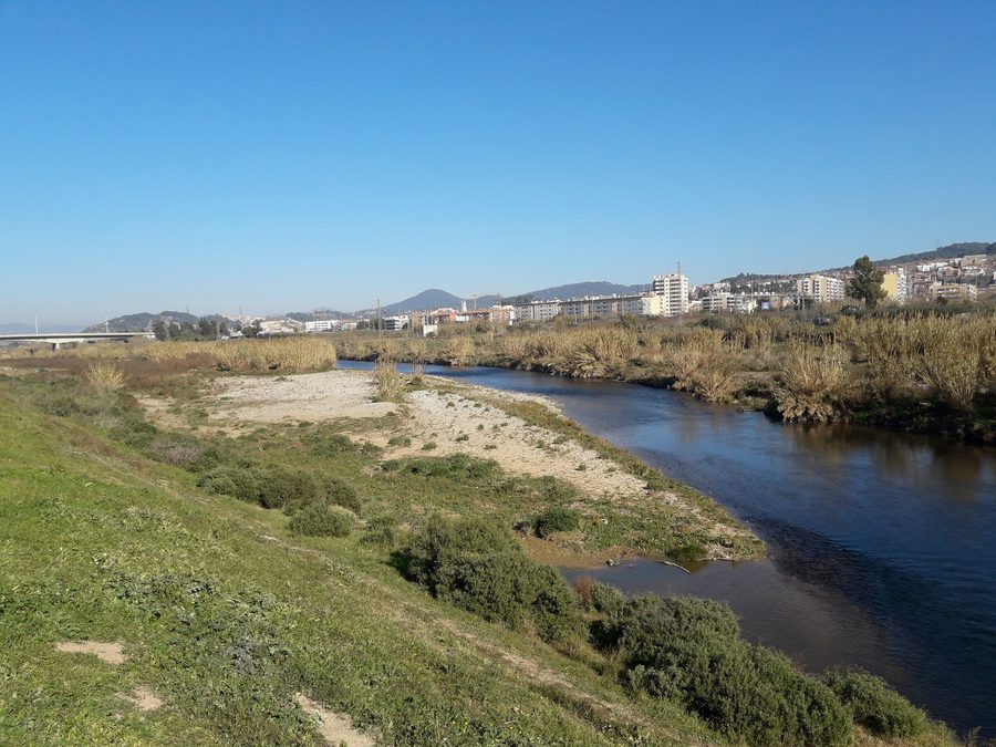 The Llobregat between Sant Vicenç dels Horts and Molins de Rei