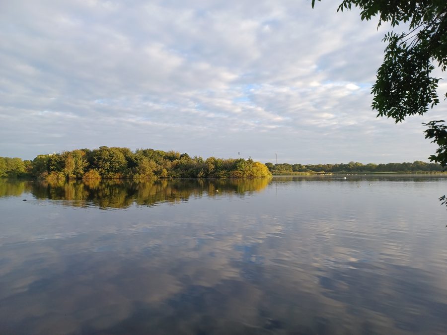 Lake landscape in Utterslev Mose in Copenhagen