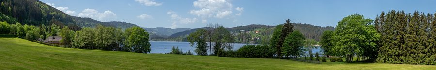 Lakeside meadow at Titisee with Feldberg in the background