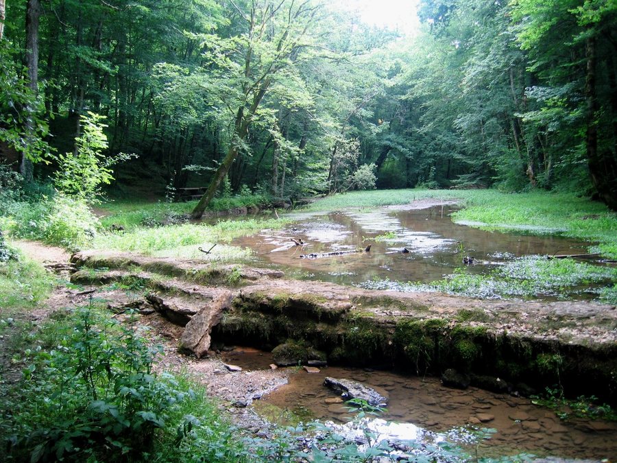 File:Haute-Marne Praslay Source De L'Aube 09072008 - panoramio.jpg