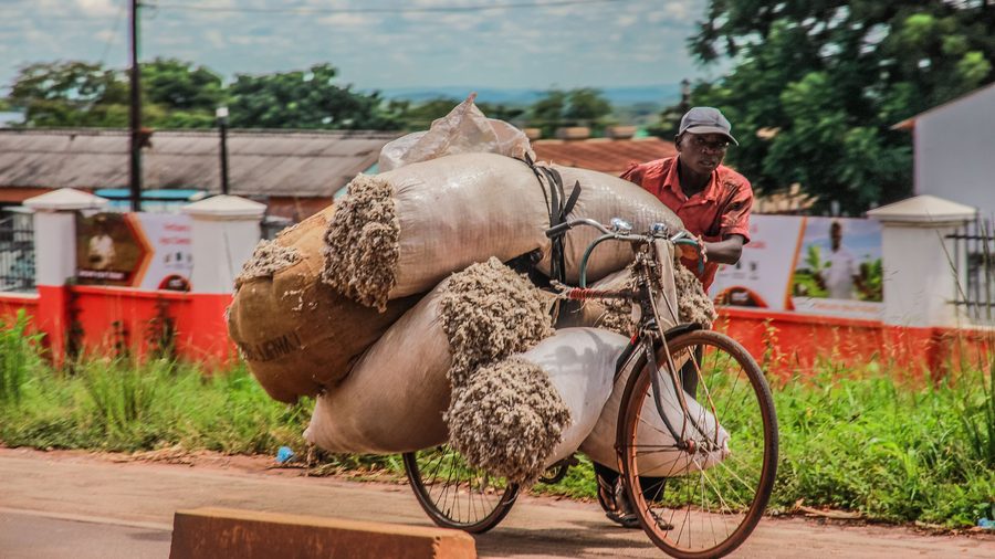 Everyday scene in Zambia
