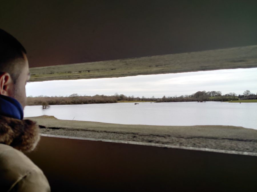 View across Coole Park in County Galway