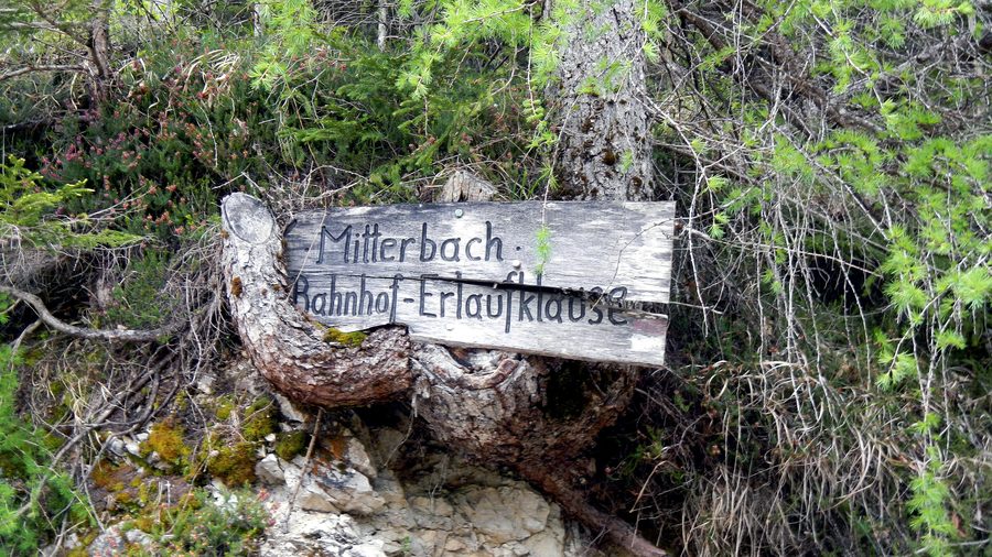 Signpost on a forest road to Erlaufklause in the Ötschergräben