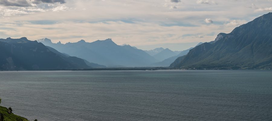 Terraced vineyards of Lavaux with a view of Lake Geneva