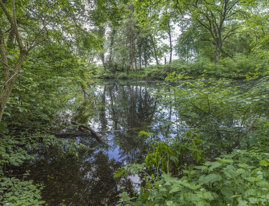 Altmaar in the Sennfeld lake ring near Sennfeld