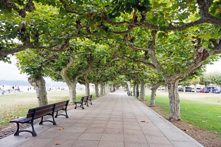 File:Santoña - walkway.jpg