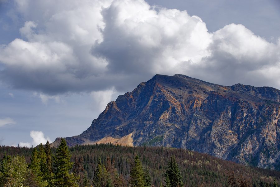 Mount Hardisty on the Icefields Parkway in Jasper National Park in Alberta