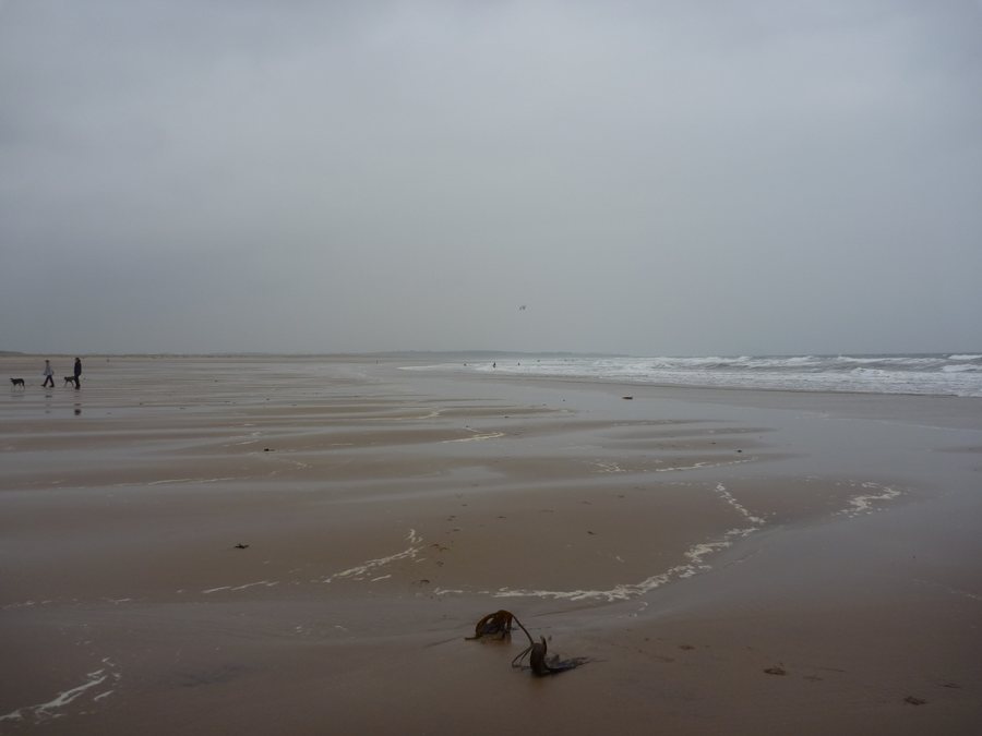 File:Coastal East Lothian , A Grey Morning at Belhaven Bay - geograph.org.uk - 2104726.jpg