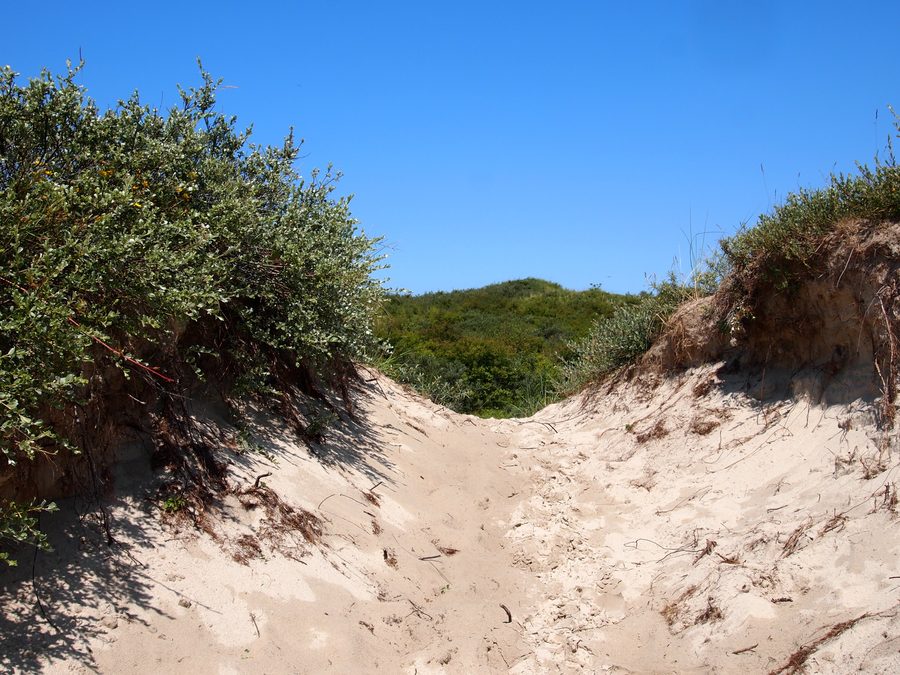 Dune landscape in Schiermonnikoog National Park