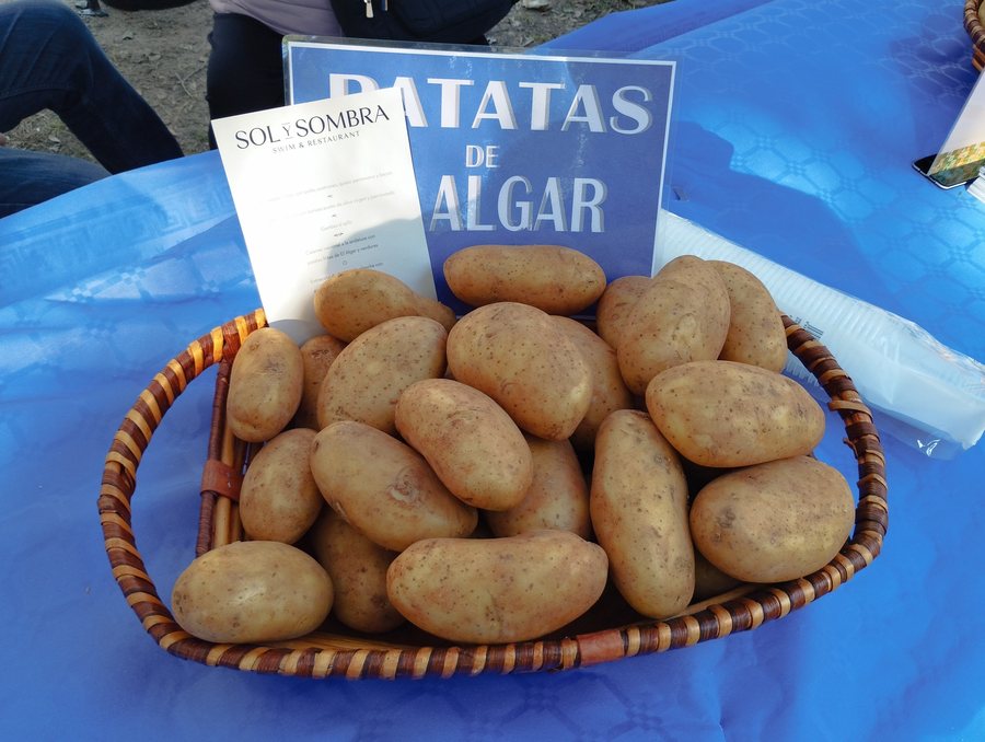 File:Patatas de El Algar (20251122 121528).jpg