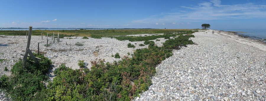 View from Schleimünde into the Schleimünde nature reserve