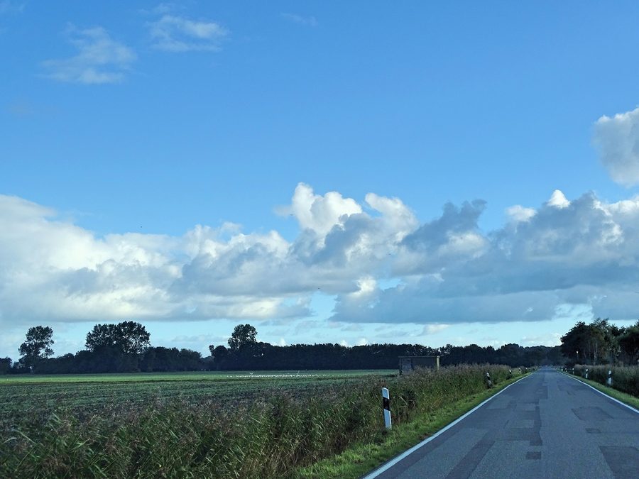 Coastal landscape in Wangerland with marsh, salt marshes, and North Sea dike