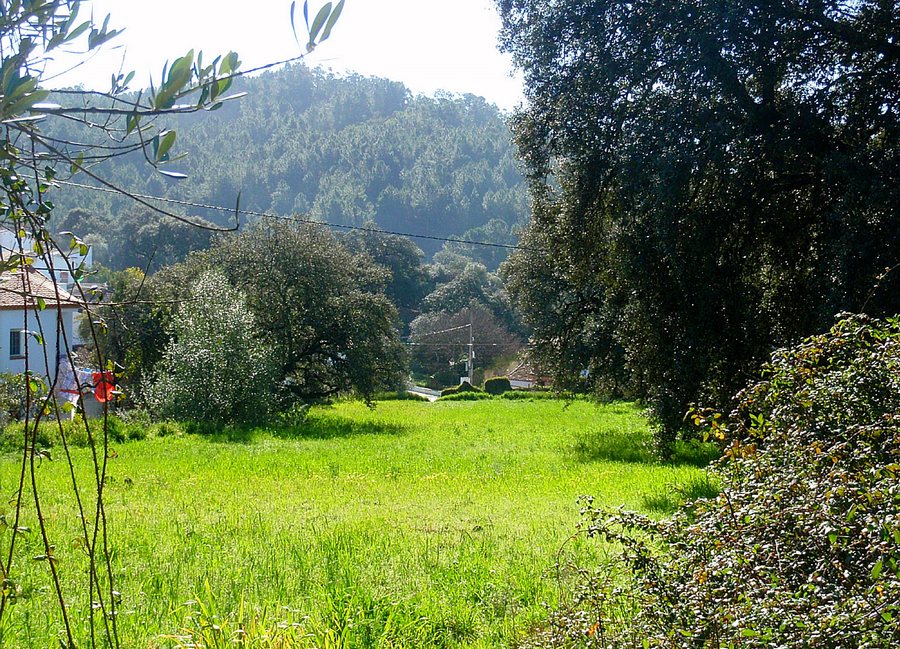 File:Las Veredas - Almonaster la Real (2).jpg