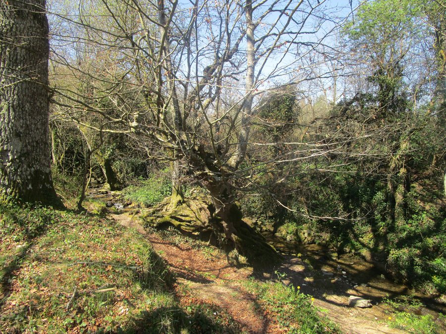 File:Urkabustaiz Izarra erreka 01.jpg