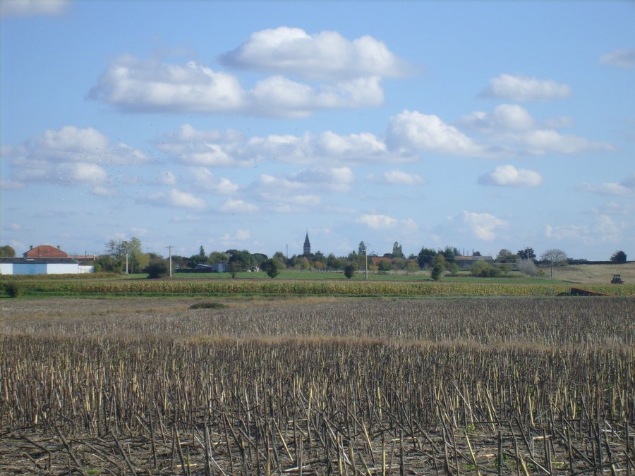 File:La campagne Charentaise près de Boutenac-Touvent - panoramio.jpg