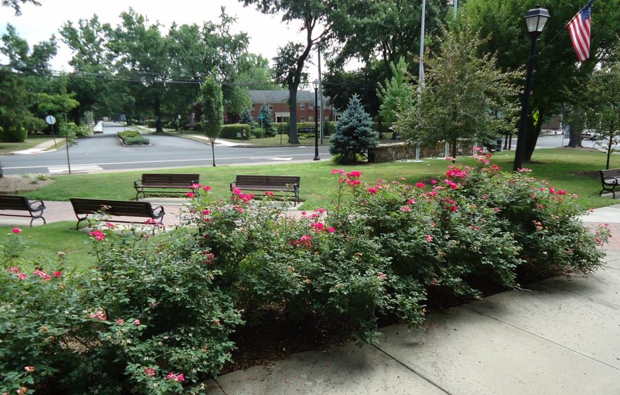 Memorial park with flowers facing Springfield Avenue in New Providence, New Jersey