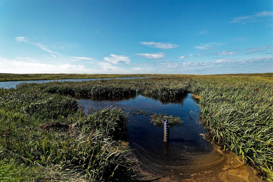 Dune landscape in the De Bollekamer nature reserve on Texel