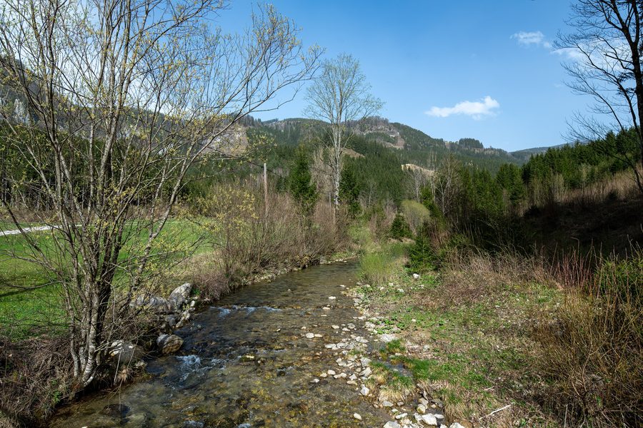 Angerbach in der Streusiedlung Erlaufboden