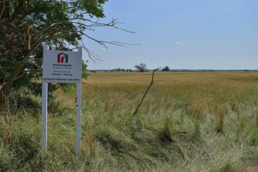 Open landscape of the Waasen-Hanság conservation zone in Neusiedler See–Seewinkel National Park