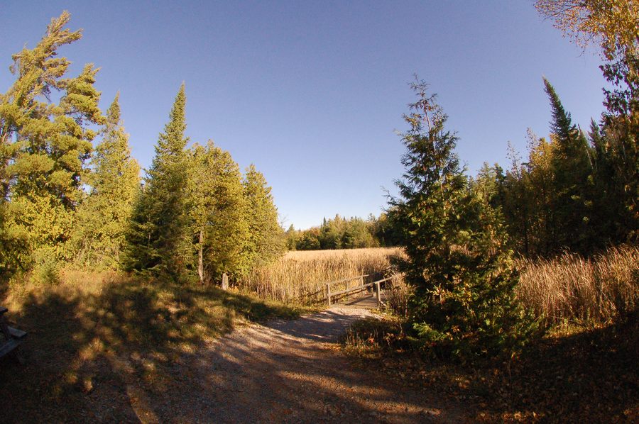 Landschaft in Kawartha Lakes, Ontario, Kanada