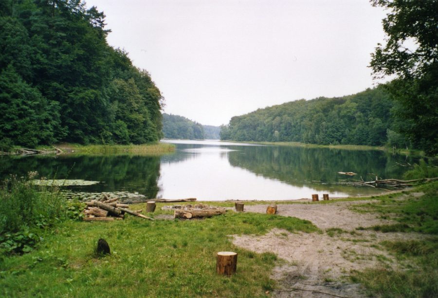 Lake Gamensee in the lake-rich Gamengrund with wooded shores