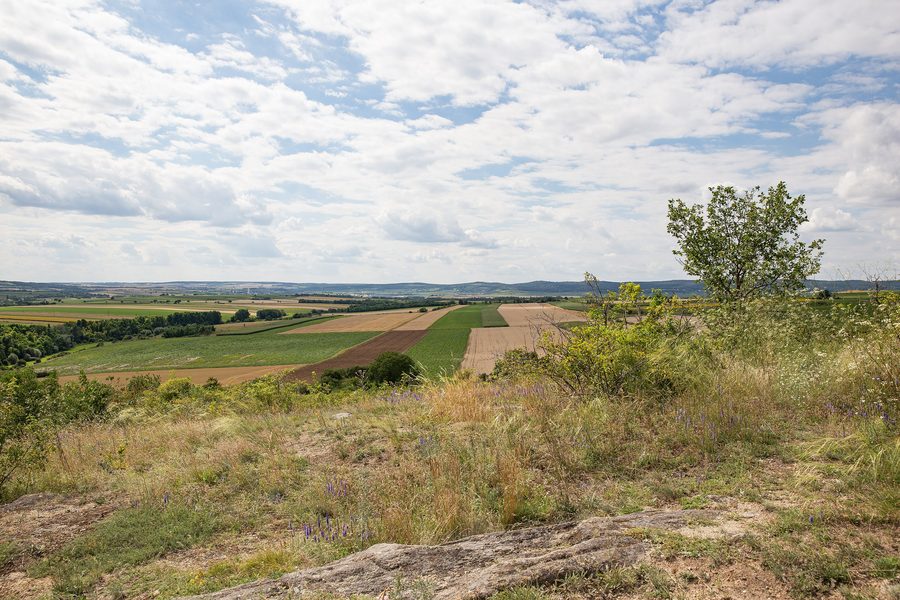 Panoramic view of Pulkau from Altenberg in the Weinviertel