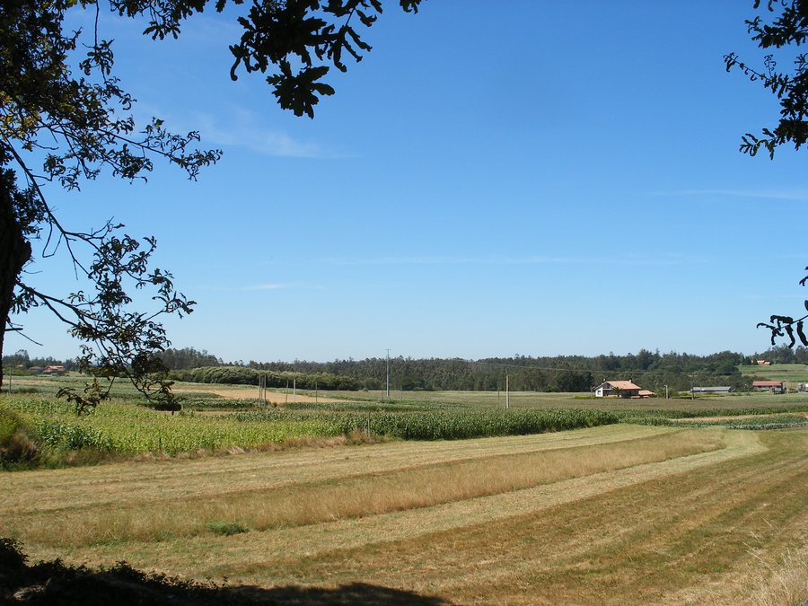 File:Vista desde a igrexa de Nantón.JPG