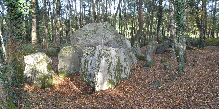 File:La-chapelle-caro bignon 06.jpg