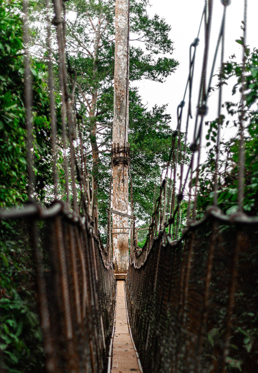 Canopy walkway in Kakum National Park