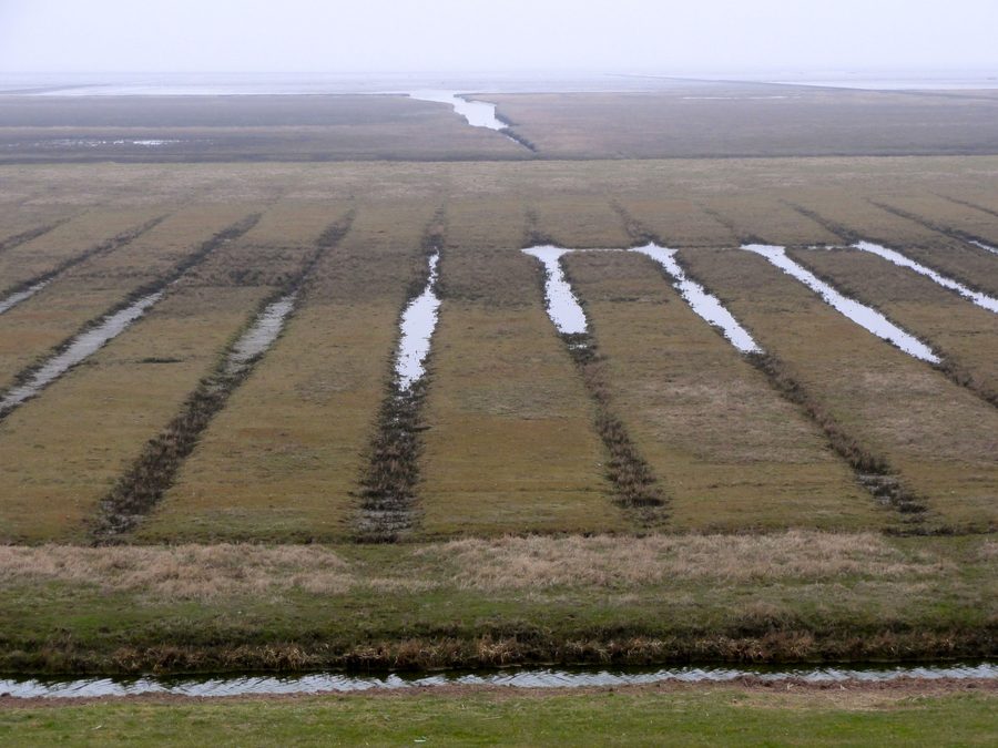 Kwelder in de Waddenzee ten noorden van de Noordpolder