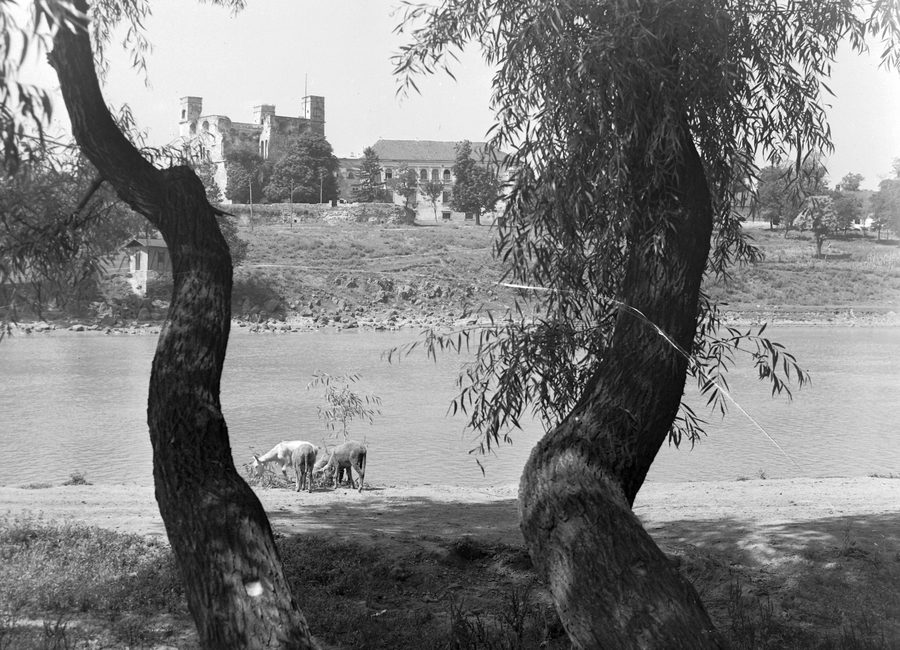 View of Sárospatak from the left bank of the Bodrog, with the Rákóczi Castle visible