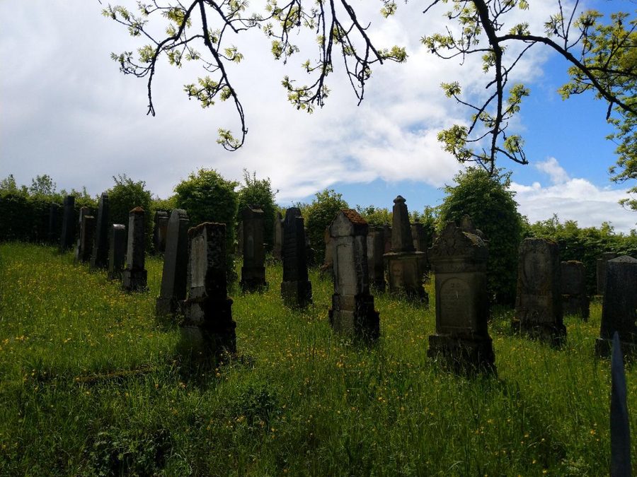 Jewish rural cemetery in Berwangen in the Kraichgau