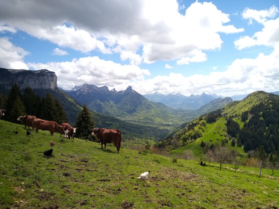 File:Dingy-Saint-Clair depuis chalet Chappuis.jpg