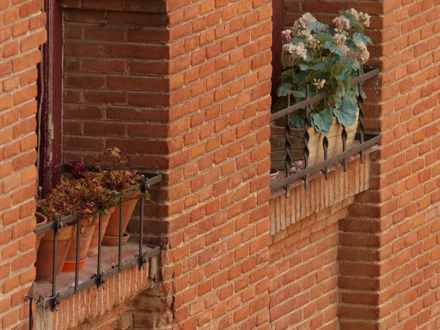 File:Plaza de toros de las Ventas, plantas en las ventanas, Madrid, España, 2015.JPG