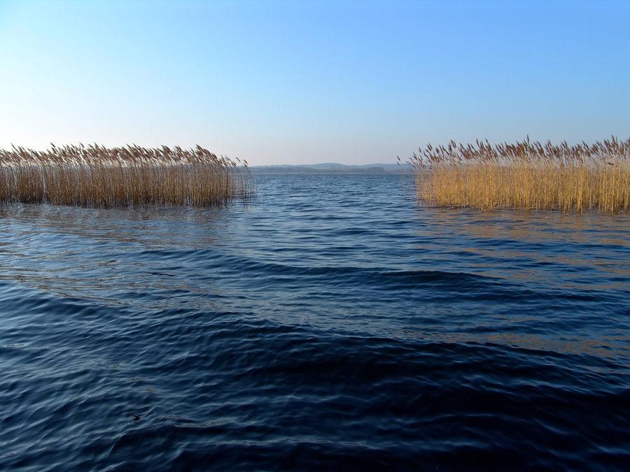 Landscape near Rothenmoor in the Basedow and Malchin area