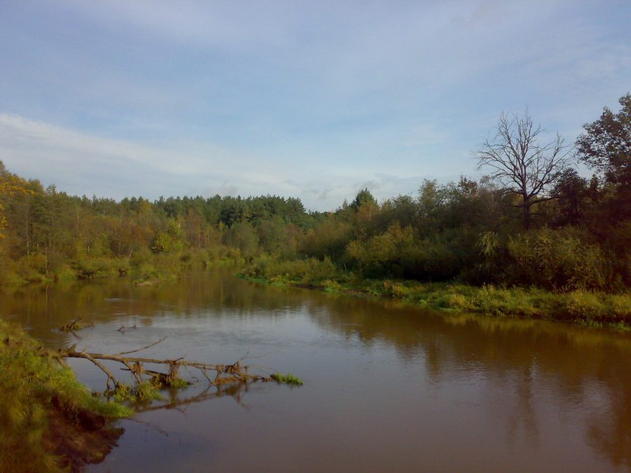 Der Kirschatsch-Fluss in der Oblast Wladimir