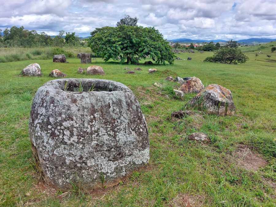 Steinkrüge und ein Baum an der Ebene der Tonkrüge, Site 1, in Xieng Khouang, Laos
