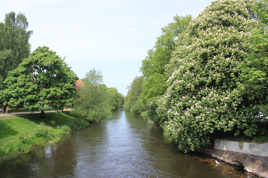 The Słupia in Słupsk