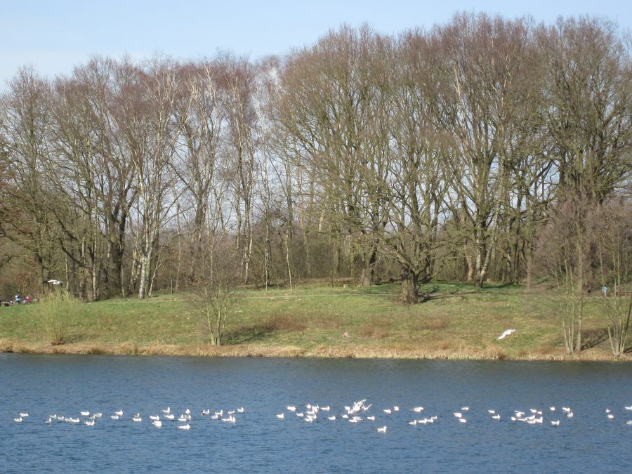 Hartensbergsee near Goldenstedt viewed from the east