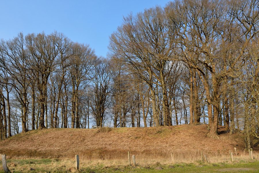 View of the Wallberg in Willenscharen from the outside