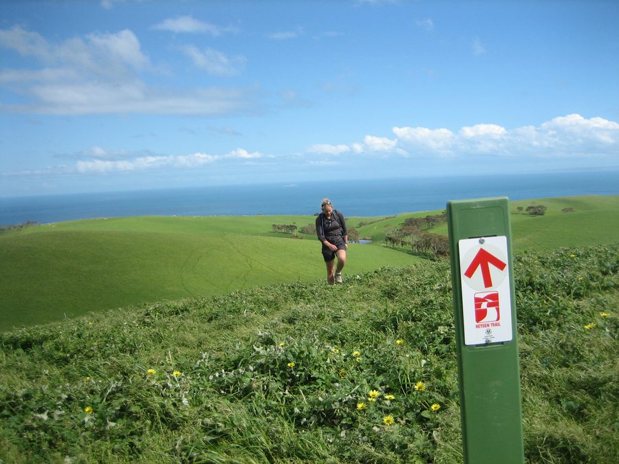 Hikers on the Heysen Trail near Waitpinga