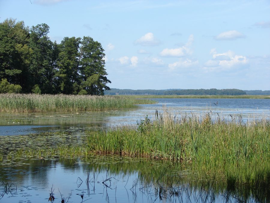 Blick auf den Rušons-See bei Jaunaglona in Lettland