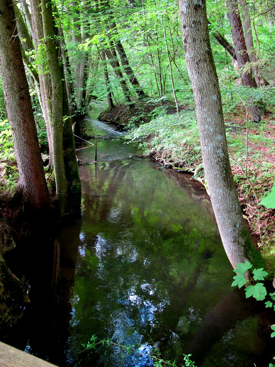 Landscape in the protected Kupferbachtal near Glonn