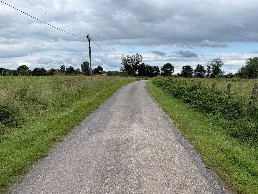 File:Chemin Servignat - Curtafond (FR01) - 2025-06-07 - 3.jpg