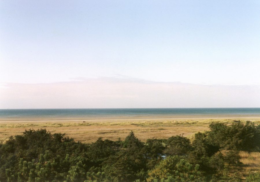 Beach and dunes on the western shore of Fanø
