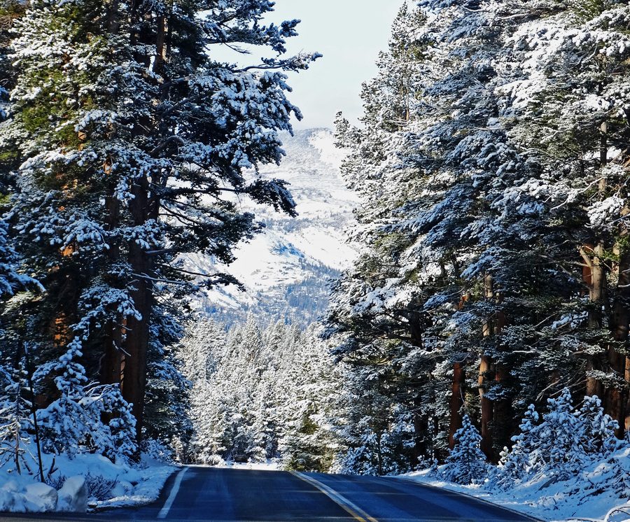 Snowy mountain road on the approach to Tioga Pass in the Yosemite area.