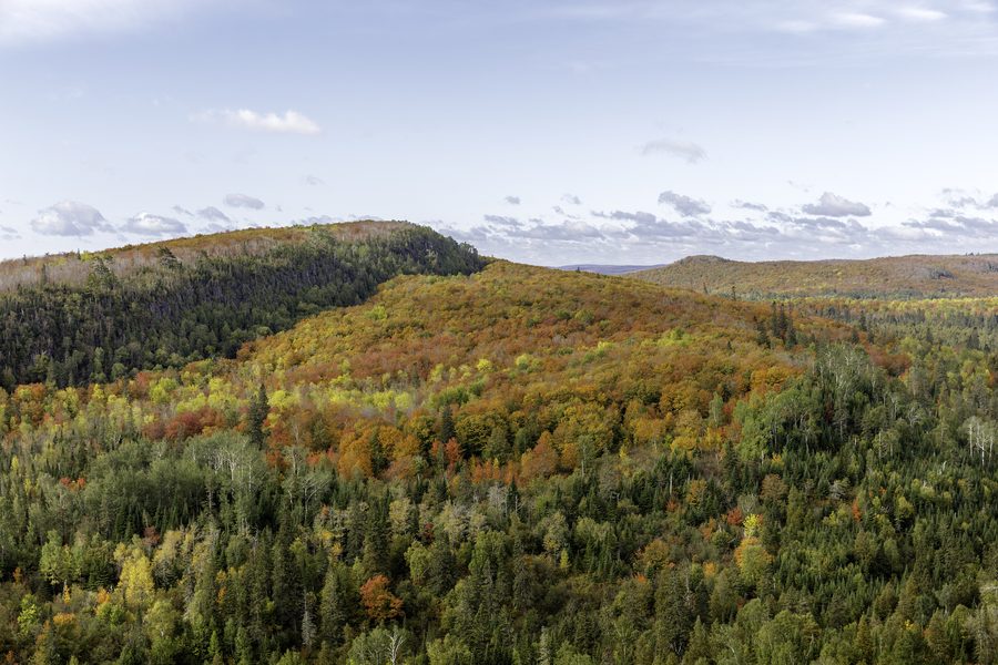 Autumn foliage on Leveaux Mountain near Tofte in Minnesota