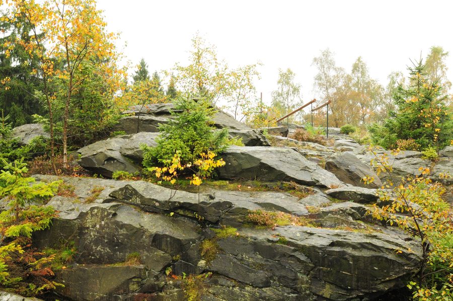 Quartzite cliff on the Wendelstein near Grünbach in the Vogtland
